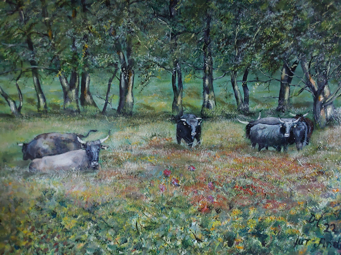 Mutterkühe
