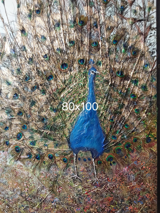 Pfau in der balz